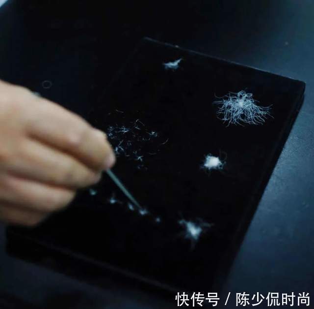 羽绒服|羽绒服盘点种草:含大牌秀场款、选购注意事项