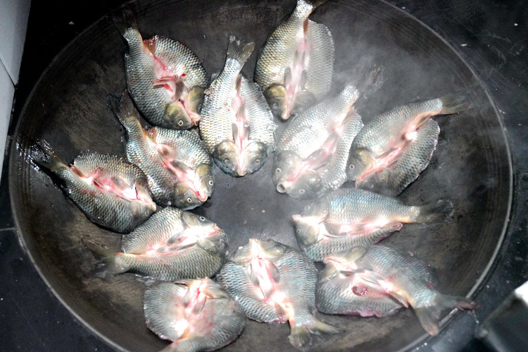 舌尖上的美味 英川田鲤鱼干