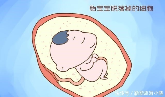 生命|宝宝的生命水为什么叫“羊水”,而不叫“牛水”,就是水吗