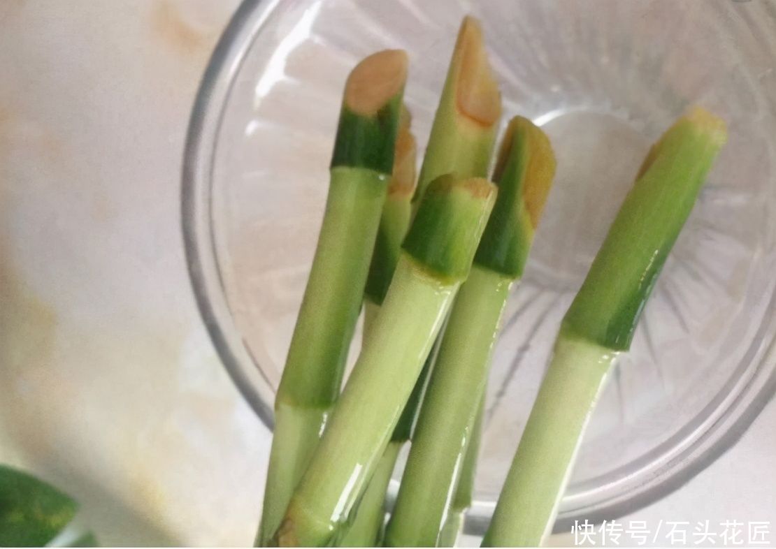 富贵竹一直黄叶，春天是它“翻身”的时机，学会3招就可以