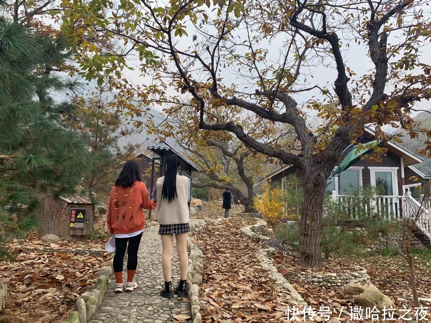 深处|泰山深处有一个美丽的小山村