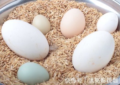 清热解毒|此蛋比鸡蛋营养高，每天吃一个，补血助消化，还可清热解毒！