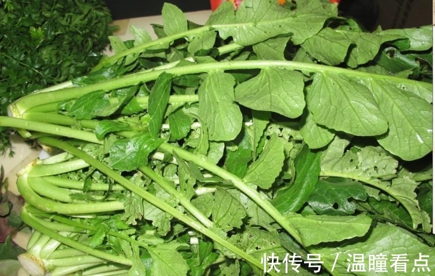 萝卜缨子常常被丢弃,殊不知这是一种健康食品