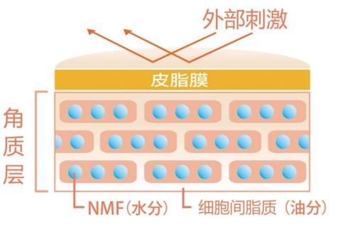  角质层|秋裤一脱都是白屑，这是皮肤问题吗？专家：洗澡方式不科学