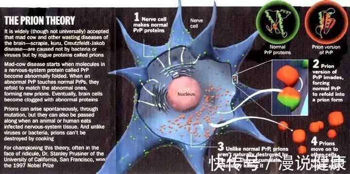 抛开伦理和道德，人肉到底能吃吗？这群食人族，却因遭受“诅咒”