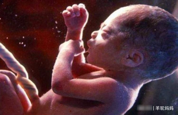 分娩|临近分娩羊水多少合格？产妇要注意产检单上这数字，早了解早受益