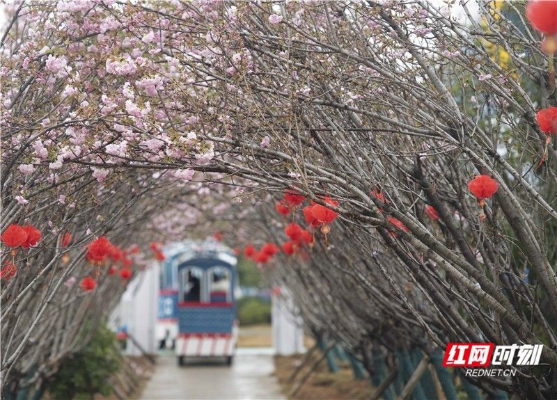 主题乐园|湖南：欢乐度假期