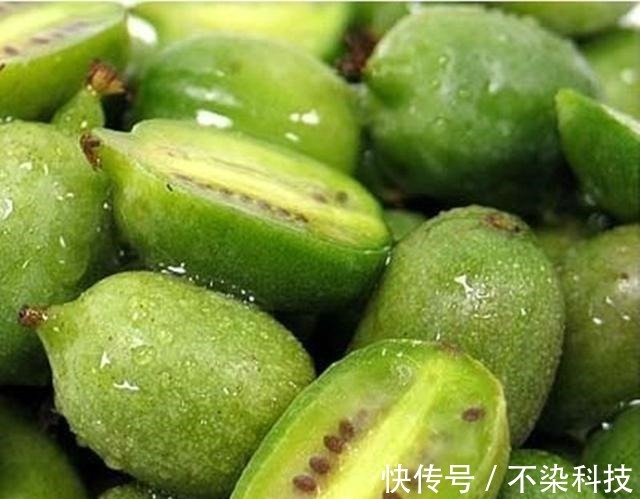 柠檬靠边站，它们是维C之王，好吃价值高，打理还简单，一起看看！