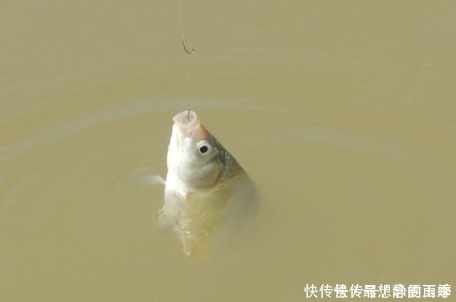 诡异|只要去钓鱼,这些诡异的糗事,就必然会发生