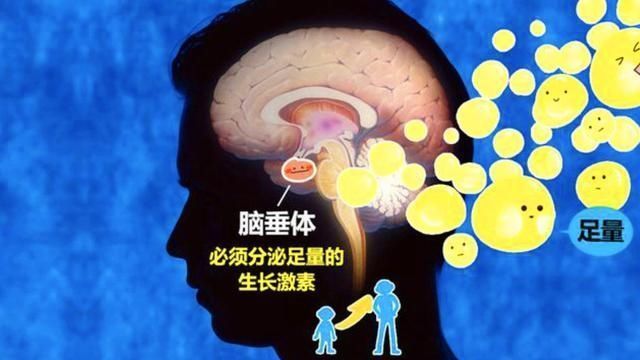 长高|孩子几点睡觉最好?要想孩子长高,抓住黄金睡眠时间,父母别忽视