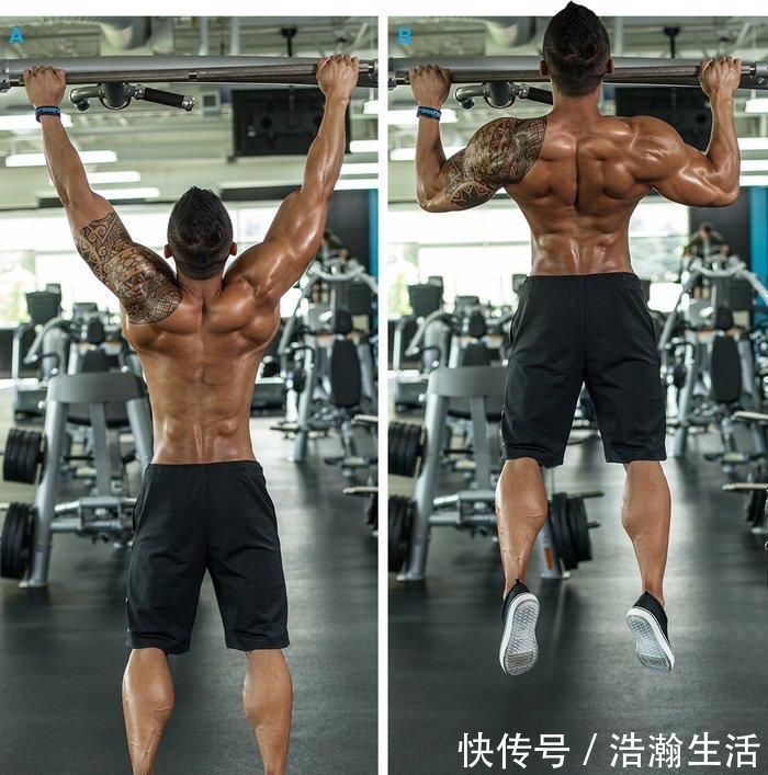 动作|分区域练背,把落后的部位练成优势,打造更强更壮的背部