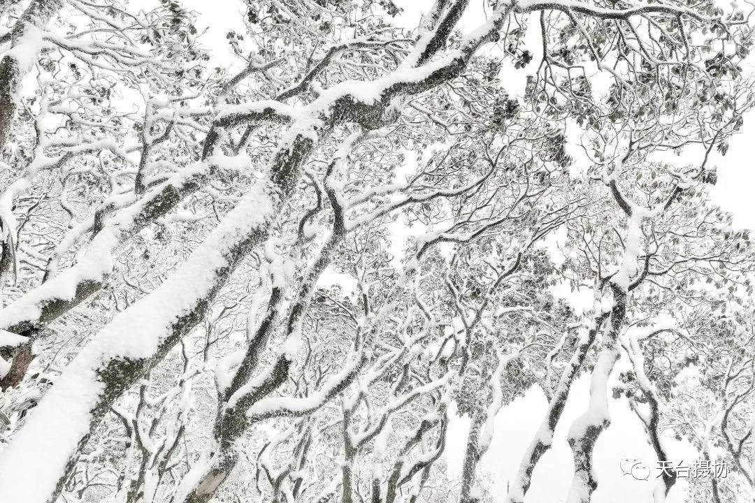 许琼|快看,又下雪了!