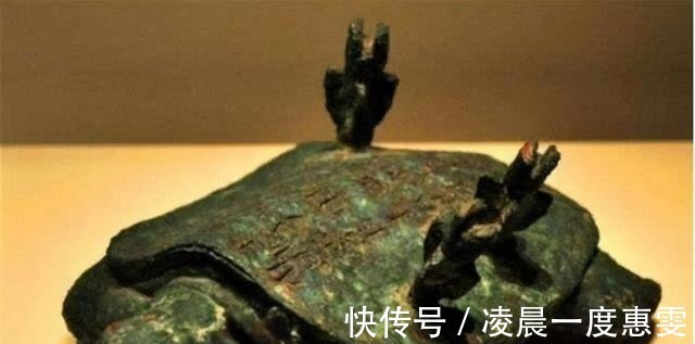 河南|河南老汉在钓到一只乌龟,背插4箭,专家你这一竿子下去18亿