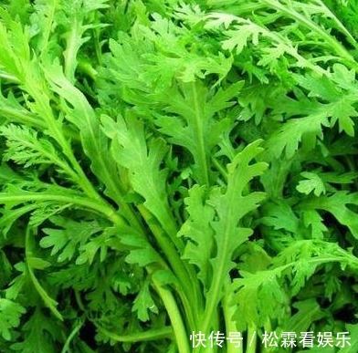 野菜|农村最不起眼“野菜”,能安心神治牙痛,补肝润肺,轻松告别失眠
