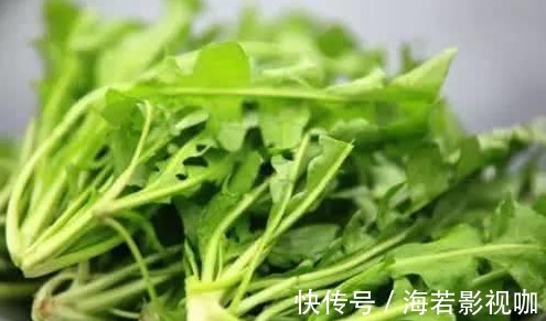 苦菜|7种农村常见的野菜,个个都是治病的“良药”,你吃过几个