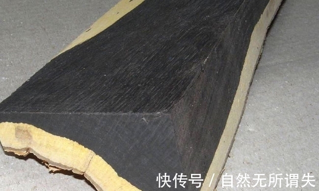 f十大世界上最昂贵的树木,黄檀排第三