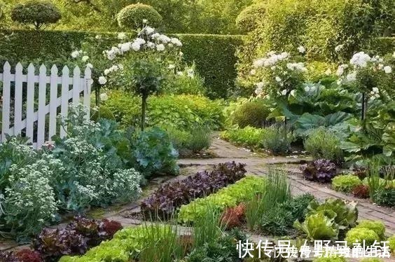 种菜|别墅院子这样设计，庭前栽花，屋后种菜，实现梦想中的田园生活！