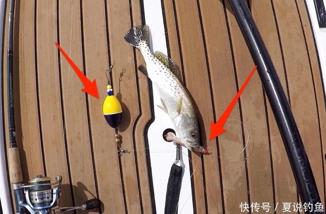 软木|美国用的拨水钓组和中国浮漂钓结合更加好