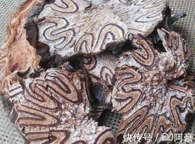 民间|此种野生物,现可遇不可求,在民间十分珍贵,值得被我们珍惜保存