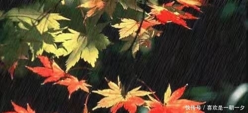 临江仙|临江仙·雁背夕阳斜