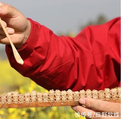 营养物质|蜂王浆怎么做面膜？蜂王浆敷脸的作用与功效？