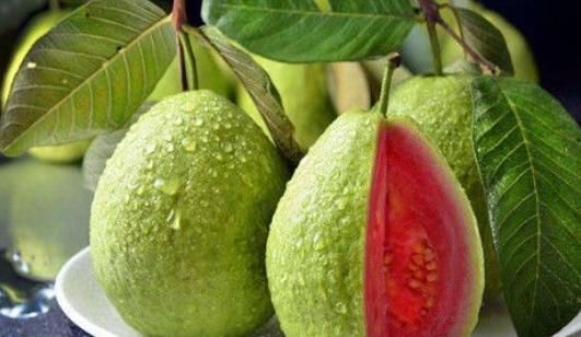 女性养生该如何进补?专家:不需山珍海味,只需4种“便宜货”!