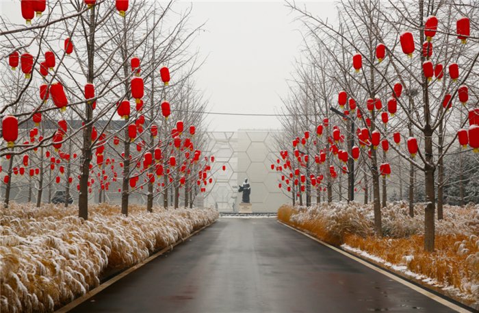 中年|东阿阿胶迎来新年第一场雪