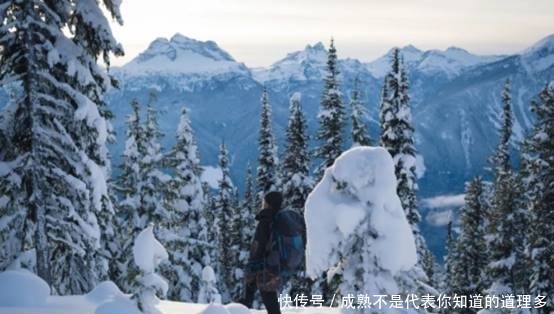 藏不住了！堪称是国内的“冰雪天堂”，游客：比北海道还要美