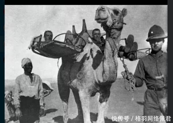 次世界大战|一战时期残忍老照片，士兵眼睛被毒气伤害，图6用骆驼运伤员