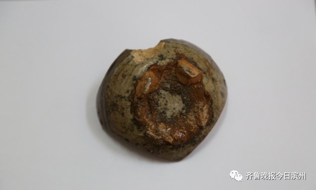 考古勘探|信息量很大!滨州这里竟藏着晚唐至宋时期的一座大型城市