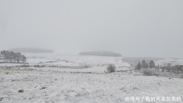 飞雪 英国五月飞雪，2021年是世界末日？英国创造历史低温