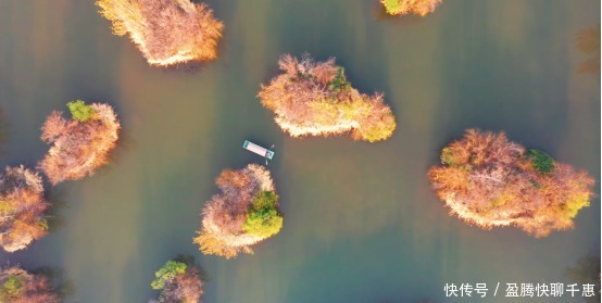 美丽乡村｜春和景明，让心情去发芽