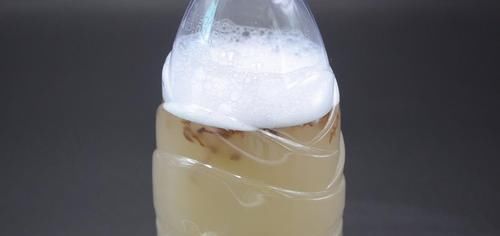 家家户户|无论马桶有多臭，只需一个塑料瓶，马桶异味自动清除，太方便了