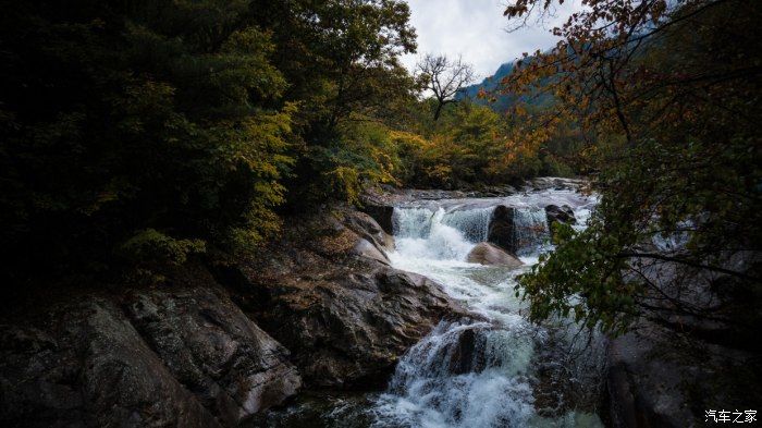 自然保护区|开着大唐去旅行——穿越太洋公路，赏黄柏塬醉美秋色（中篇）