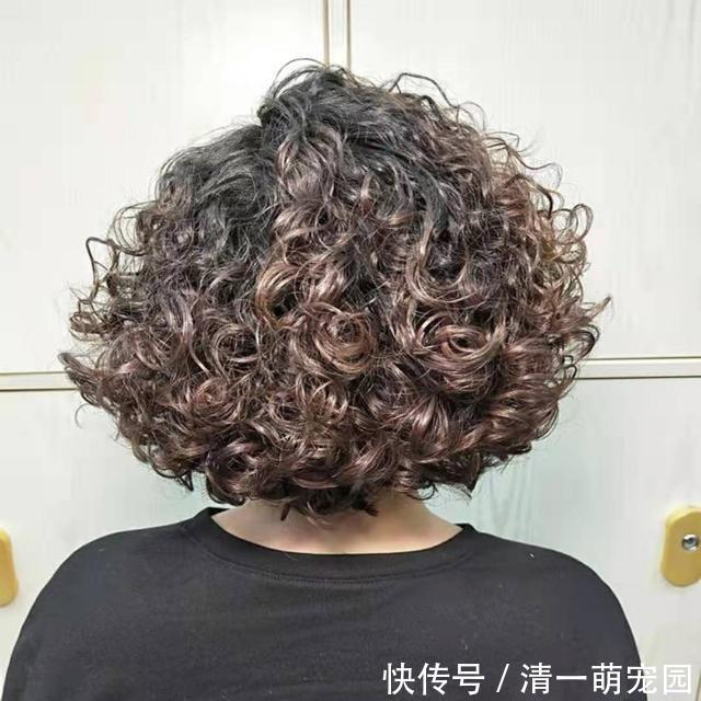 短发|五六十岁的女人,别总烫盖半耳短发,试试露耳小爆卷,减龄又洋气