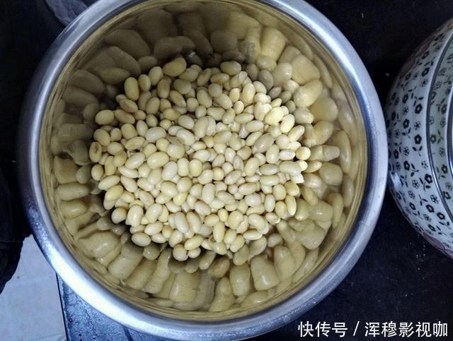 豆芽不用花钱买,用一个塑料袋就够了,一茬接一茬,安全靠谱