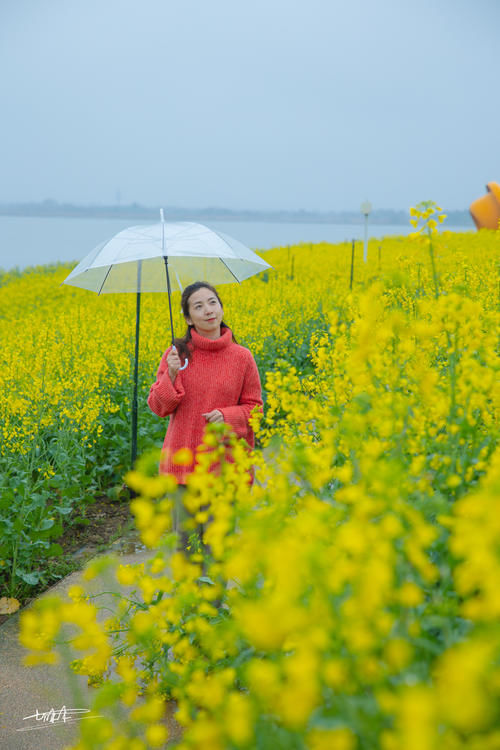 德清这神仙地方，一片浪漫花的海洋，比青海湖多些梨花带雨的清新