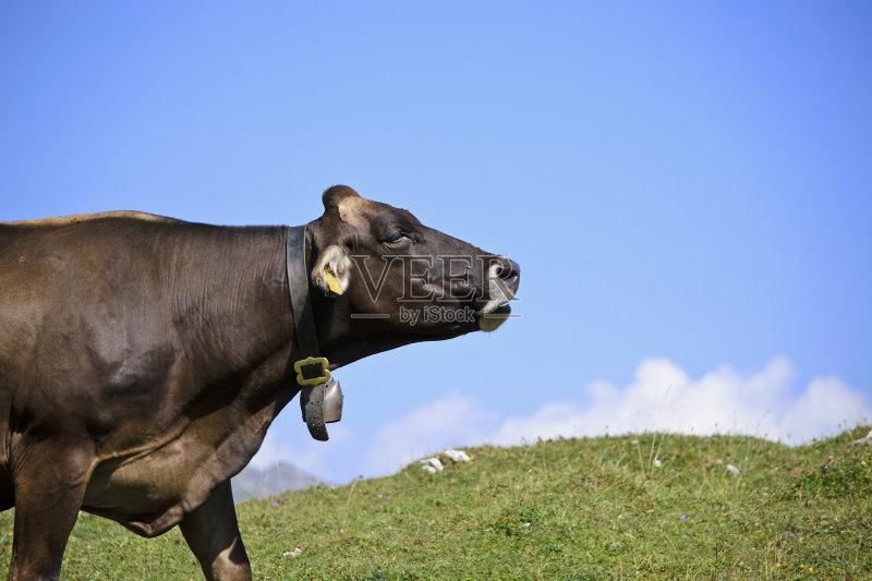  主题|牛年主题创意线描第二篇：利用牛年元素进行创作主题绘画