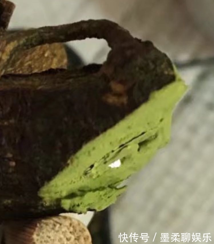 伤口愈合|修剪黄荆老桩头你还在用草木灰涂抹剪口吗伤口愈合剂了解一下