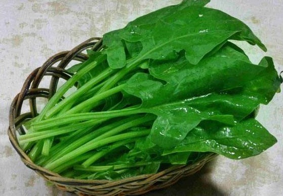 小葱|它是天然“黄体酮”，美容养颜，延缓衰老，女人过了30要常吃！