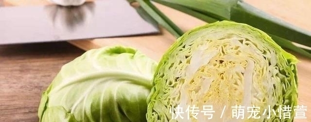 地中海|它叫“不死菜”,富含叶酸,维生素是番茄的3倍,开春吃它正合适