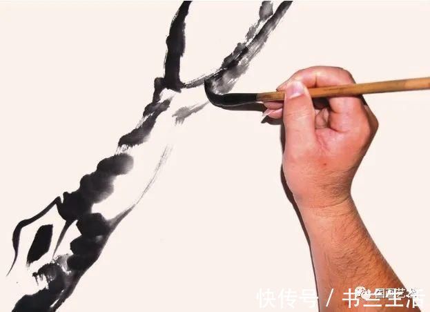 垂枝!图文教程:轻松学画写意木本花卉枝干