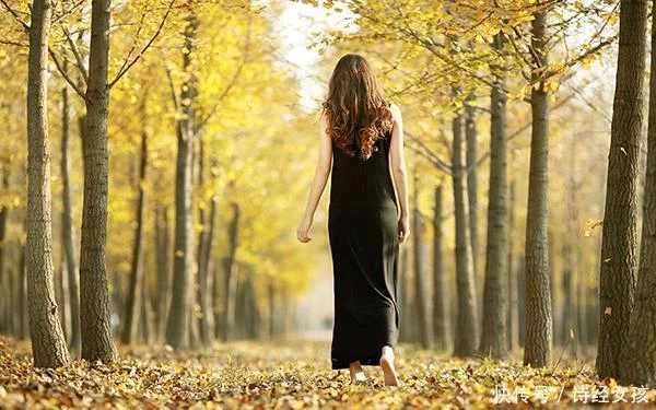 天下风物——《都说古人悲秋，你错了！这5首描写秋天的诗词，一点儿都不感伤（二）》风光题照