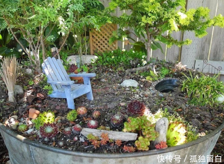 多菌灵水|刚买的花盆、旧盆不能直接拿来养花,这么处理后,盆栽植物无忧