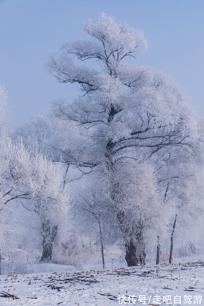 多民族|中国唯一省市同名的地方，冰雪畅滑、雾凇盛宴，快乐至“吉”