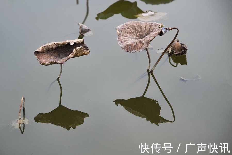 诗友#16位诗友,18首《渔家傲》,一一都是人生情感的流露