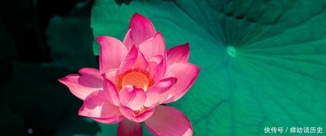 易经:读64卦,有规律可循,只需要3个步骤,就能读懂一个卦