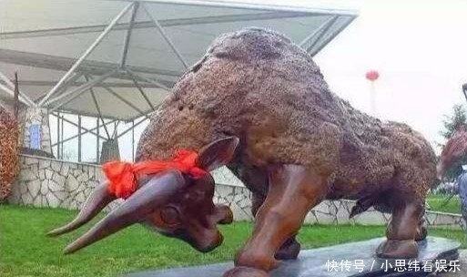 根雕艺术|天价根雕盘点:崖柏根雕标价3