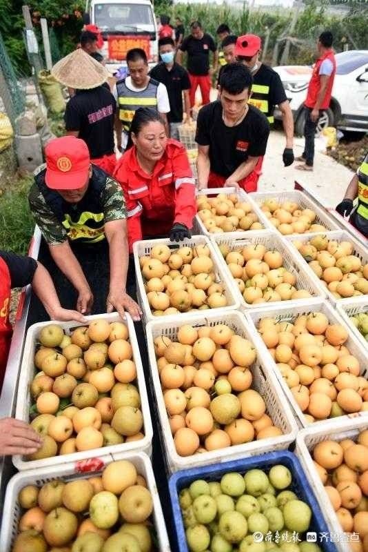 郯城|请解解渴！郯城果农八亩地“爱心水果”赠送防疫一线人员