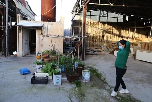 低薪|疫情之下的希腊爱琴海小城：华人商铺春节照常营业，艺术家从伦敦专程来此办公